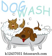 Clean Dogs Clean Dogs