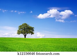 Clean environment Clean environment
