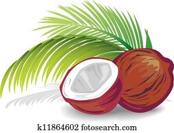 Coconut Coconut