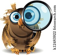 curious owl curious owl