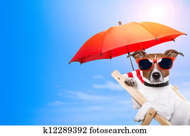 cão, sunbathing, ligado, um convés, cadeira, com, espaço vazio, ligado, lado