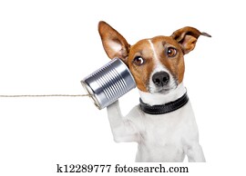 cão, telefone