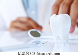 dentist holding molar dentist holding molar