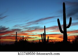 deserto, pôr do sol