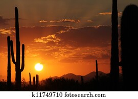 deserto sonora, pôr do sol