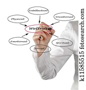 diagrama, de, wellness