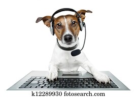 dog computer pc tablet dog computer pc tablet
