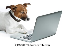 dog computer dog computer