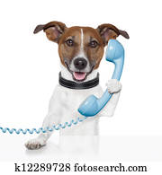 dog on the phone talking 