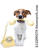 dog phone call dog phone call