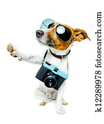 dog photo camera dog photo camera