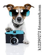 dog photographer dog photographer