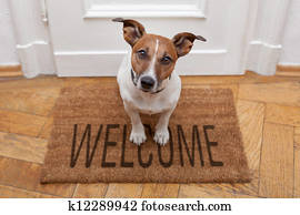 dog welcome home dog welcome home