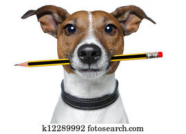 dog with pencil and eraser dog with pencil and eraser