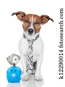 dog with piggy bank dog with piggy bank