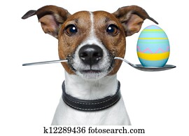 dog with spoon and easter egg
