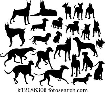 dogs dogs