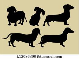 dogs dogs