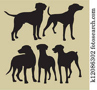 dogs dogs