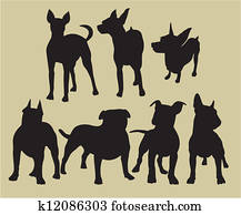 dogs dogs