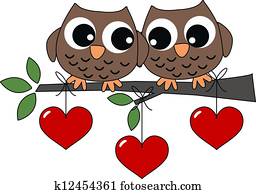 dois, doce, corujas, apaixonadas