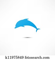Dolphin Dolphin