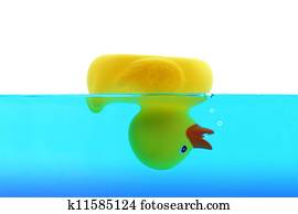 Drowning duck in blue water Drowning duck in blue water