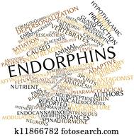 Endorphins Endorphins