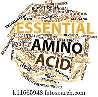 Essential amino acid