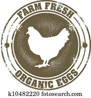 Farm Fresh Eggs Farm Fresh Eggs