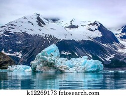 flutuante, iceberg, em, geleira ladra parque nacional, alasca