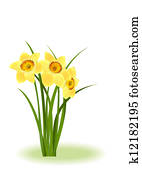 frühling, flowers., gelb, narzisse frühling, flowers., gelb, narzisse
