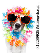 funny dog  hawaiian  lei and sunglasses