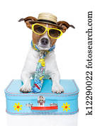 férias, turista, cão