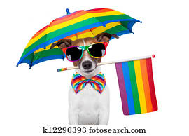gay dog