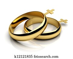 Gay female wedding rings in 3D Gay female wedding rings in 3D