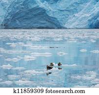 geleira, ligado, alasca