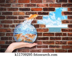 Goldfish Jumping for Freedom Opportunity Goldfish Jumping for Freedom Opportunity