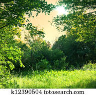 Grassland Grassland