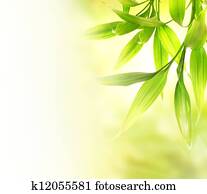 Green bamboo leaves over abstract blurred background