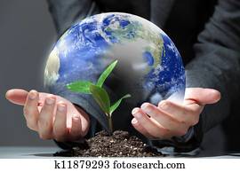 green plant on earth green plant on earth