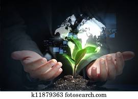 green plant on earth green plant on earth