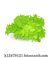 Green salad Green salad