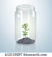 Green sprout inside glass jar Green sprout inside glass jar