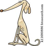 Greyhound Stock Photos | Our Top 1000+ Greyhound Images | Fotosearch