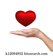 Hand holding red heart isolated on white background. Love and health concept Hand holding red heart isolated on white background. Love and health concept