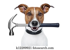 handyman dog with a hammer handyman dog with a hammer