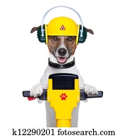 handyman dog worker handyman dog worker
