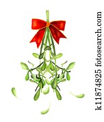 Hanging Green Mistletoe with A Red Bow Hanging Green Mistletoe with A Red Bow