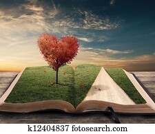 Heart tree and book Heart tree and book